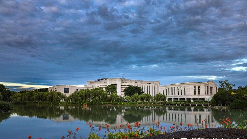 成都电子市场：解码最新报价背后的市场逻辑