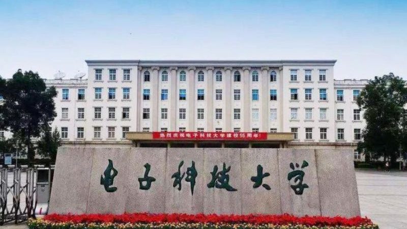 上海进口二极管批发市场：揭秘其背后的供应链与趋势**