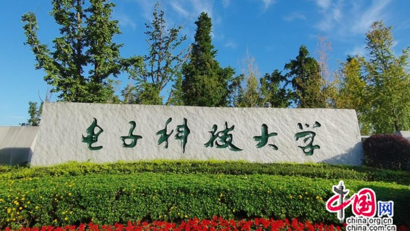 直流继电器工作原理解析：图解与注意事项**